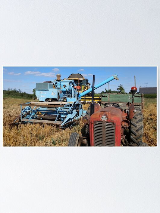 work 177914771 poster